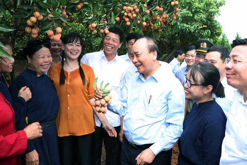 Thủ tướng cắt băng xuất hành đoàn xe tiêu thụ vải thiều Bắc Giang