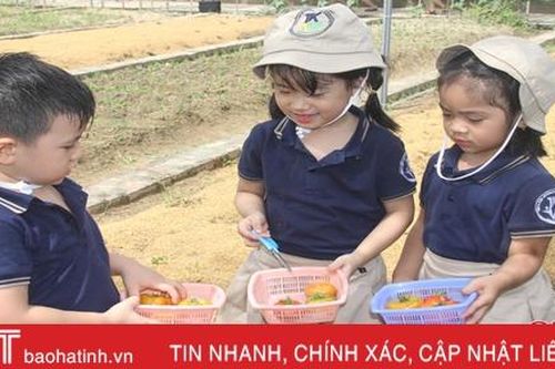 Những 'nông dân' tí hon trên vườn rau xanh Trường Mầm non Trung Kiên