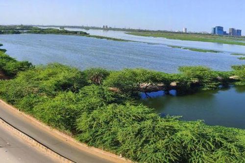 Sông thiêng ở Ấn Độ 'hồi sinh' giữa mùa đại dịch