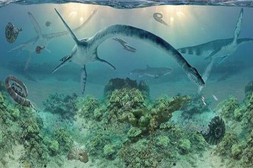 Khủng long biển cổ dài chính là quái vật hồ Loch Ness?