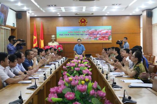 Lào Cai cam kết tạo thuận lợi cho xuất khẩu vải thiều