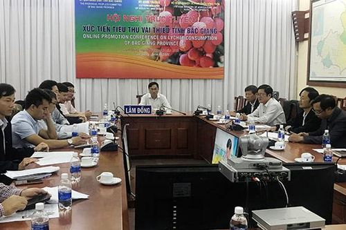 Xúc tiến tiêu thụ vải thiều Bắc Giang
