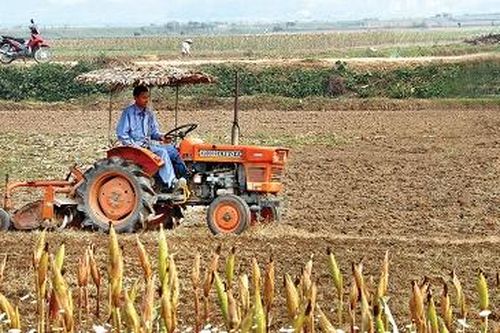 Tăng cường công tác bảo vệ tài nguyên đất nông nghiệp