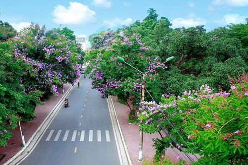 Hành động đẹp mỗi ngày