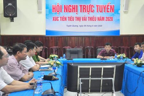 Xúc tiến tiêu thụ vải thiều Bắc Giang năm 2020