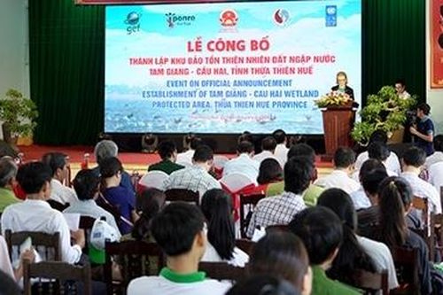 Công bố thành lập Khu bảo tồn thiên nhiên đất ngập nước Tam Giang – Cầu Hai