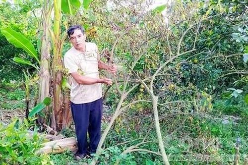 Chủ tịch tỉnh Đồng Tháp giao Thanh tra tỉnh thanh tra lại