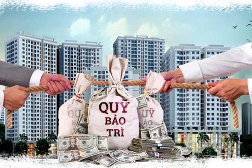 Quỹ bảo trì nhà chung cư nên giao cho ai?