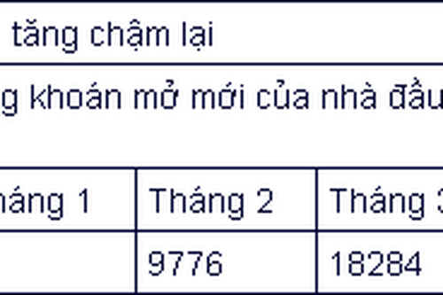 Chứng khoán Việt Nam hút hàng trăm nghìn nhà đầu tư mới