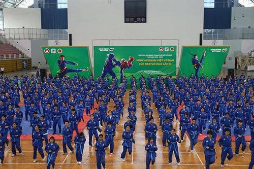 Sau bóng đá, võ Việt khuấy động thể thao TPHCM