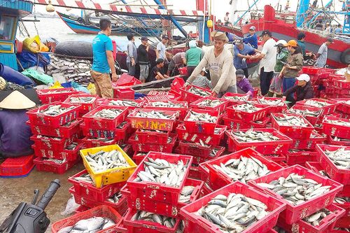 Lộc biển đầu hè