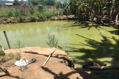 Kéo điện châm cá, 2 cha con tử vong