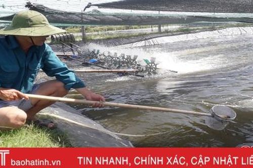 Nông dân Hà Tĩnh 'giải nhiệt' cho tôm nuôi mùa nắng nóng