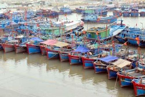 Khai thác bền vững lợi thế biển đảo Nghi Sơn - Bài 2: Hình thành chuỗi sản xuất, chế biến và tiêu thụ hải sản