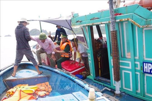 Đồn Biên phòng Cát Bà cứu nạn kịp thời ba thuyền viên trên biển