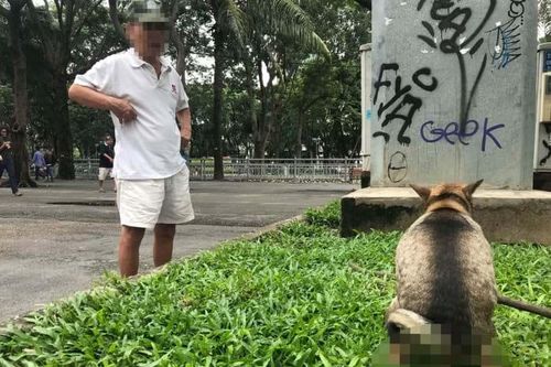 Hàng xóm… 'lựu đạn'!