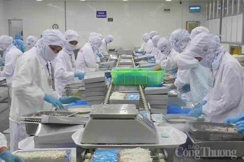 Đà Nẵng: Sản xuất công nghiệp có tín hiệu phục hồi mạnh mẽ