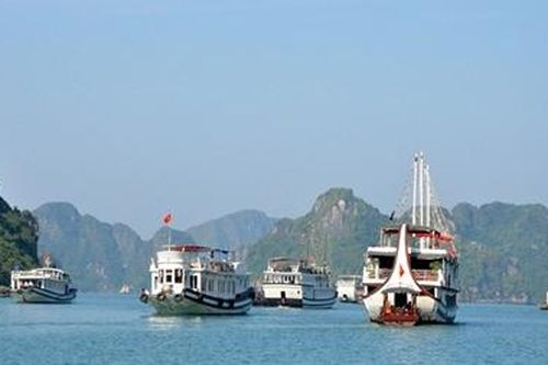 Thu tiền cao, một tàu du lịch ở Quảng Ninh bị cấm đón khách 3 tháng