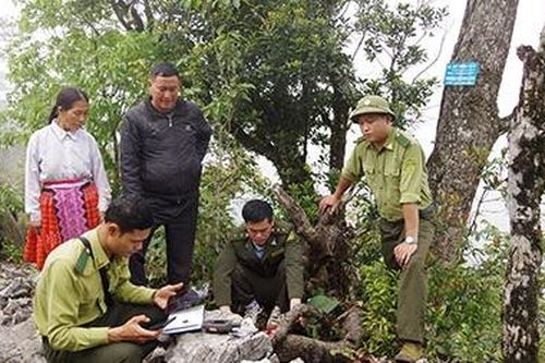 'Kho báu' trên đỉnh Tà Xông