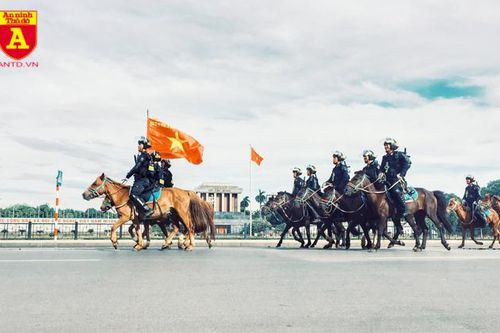 Cận cảnh dàn kỵ binh của lực lượng cảnh sát cơ động
