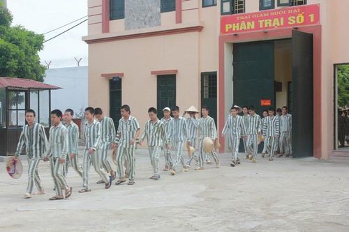 'Lao động của phạm nhân không phải cưỡng bức'