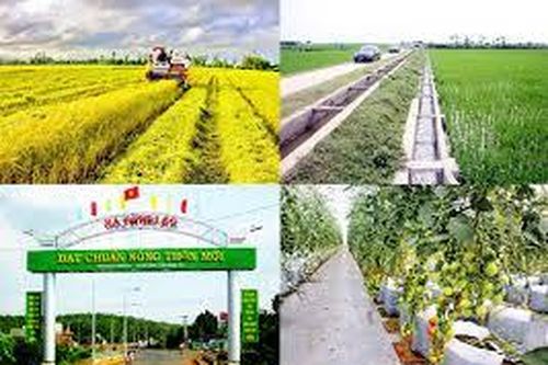 Phấn đấu 100% các huyện của cả nước có xã đạt chuẩn NTM