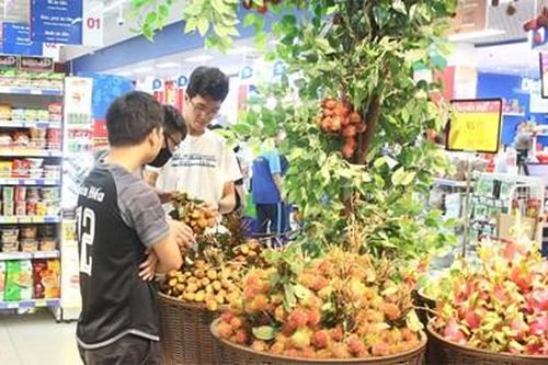 Liên hiệp Hợp tác xã Thương mại TP Hồ Chí Minh nỗ lực tiêu thụ nông sản phía Bắc