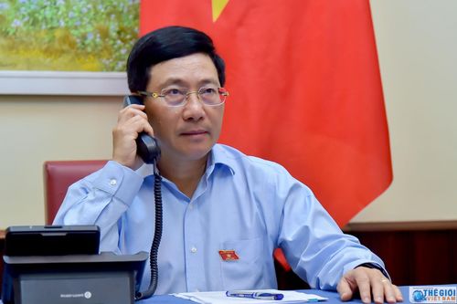 Việt Nam-Ai Cập: Tìm kiếm các giải pháp đột phá thúc đẩy hợp tác song phương sau dịch Covid-19