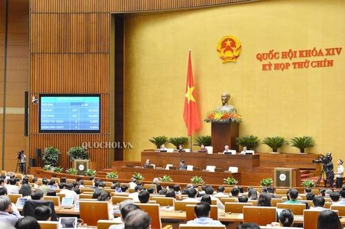 Quốc hội chính thức thông qua Hiệp định EVFTA, EVIPA