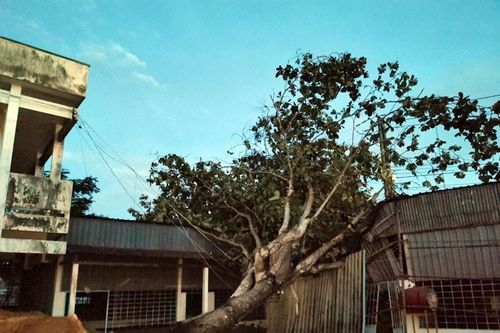 Dông lốc làm sập, tốc mái hơn 100 căn nhà ở Cần Thơ