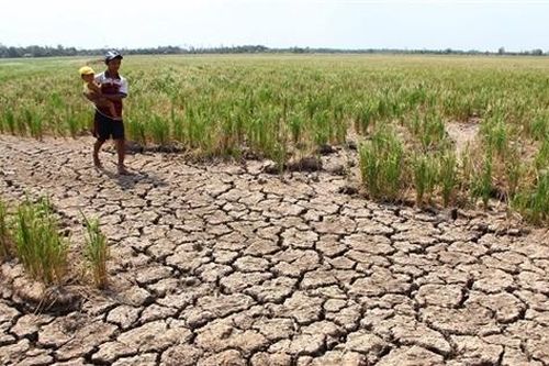 Việt Nam nhận hỗ trợ gần 85 triệu USD ứng phó biến đổi khí hậu