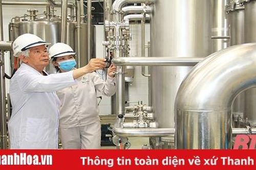 Giữ cây mía trước nguy cơ 'bức tử'