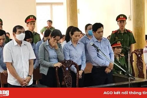 Dùng thủ đoạn gian dối lấy gần 29 tỷ đồng