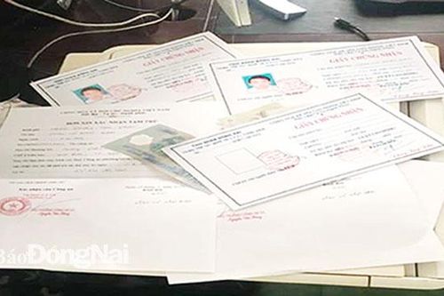 Ngăn chặn tình trạng sử dụng bằng cấp giả