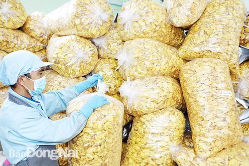 Đưa Đồng Nai trở thành trung tâm chế biến nông sản cả nước