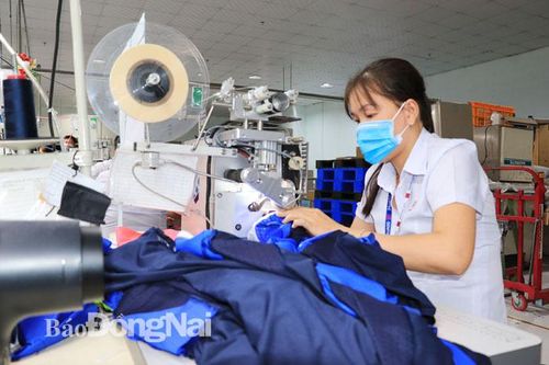 Xuất khẩu dệt may đạt 697 triệu USD