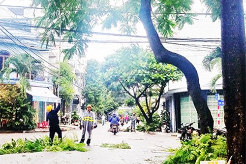 Đảm bảo an toàn cho người, nhà ở, công trình xây dựng mùa mưa bão