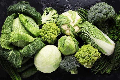 Làm sao biết cơ thể đang thiếu vitamin K?