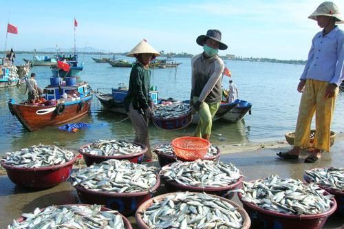 Tổ chức thực hiện hiệu quả Hiệp định về biện pháp ngăn chặn khai thác thủy sản bất hợp pháp