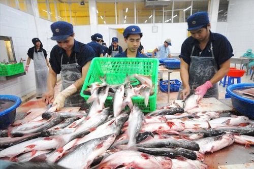 Thúc đẩy thị trường tiêu thụ ngành hàng thủy sản 'tỷ đô'