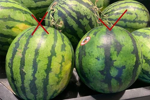 Cách chọn dưa hấu siêu đơn giản, đảm bảo dưa ngon ngọt, nhiều nước