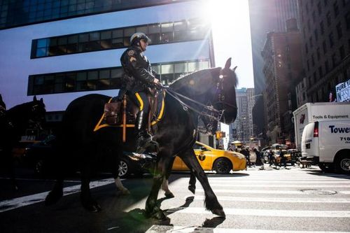 Khám phá thú vị về lực lượng kỵ binh tại New York