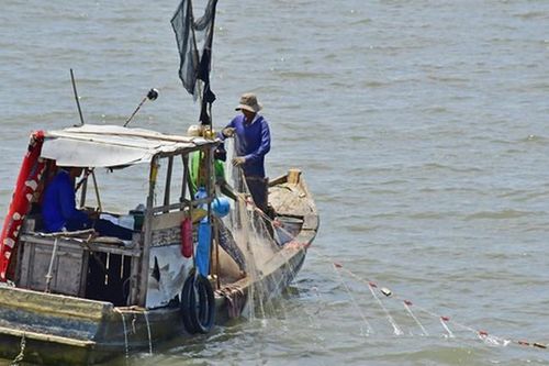 Hàng nghìn thuyền đánh cá ven bờ cản trở Cà Mau ứng phó thiên tai