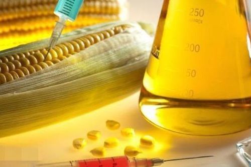 Tiếp nhận hồ sơ yêu cầu điều tra CBPG đường lỏng chiết xuất từ tinh bột ngô xuất xứ Trung Quốc và Hàn Quốc