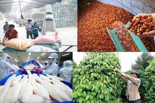 Mở rộng thị trường cho nông sản, thực phẩm, sản phẩm y tế Việt Nam tại Nhật Bản