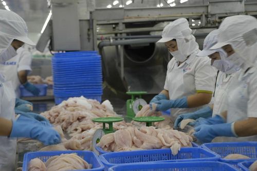 Tìm đường tiêu thụ nội địa cho mặt hàng xuất khẩu tỷ USD