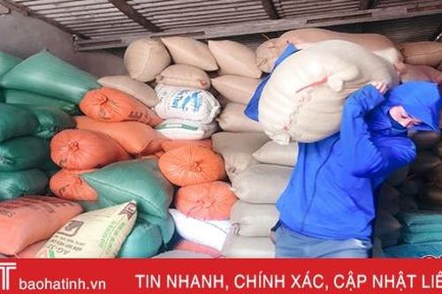 Vì sao giá 'đạt đỉnh', doanh nghiệp Hà Tĩnh vẫn khó thu mua lúa?