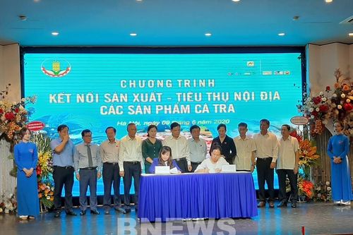 Cá tra chinh phục thị trường miền Bắc