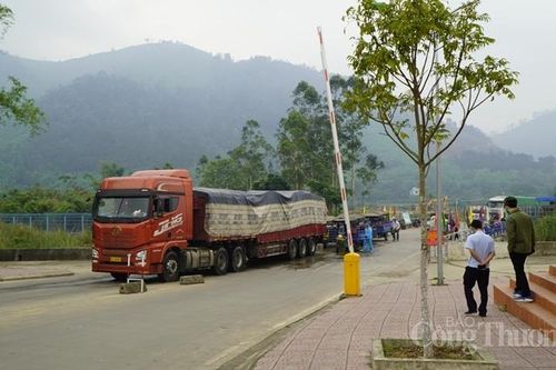 Quảng Ninh: Kim ngạch XNK giảm 16% trong 5 tháng đầu năm