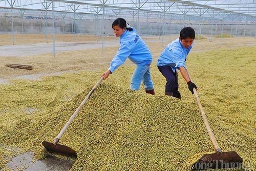 Bộ Công Thương mở rộng thị trường Nhật Bản cho nông sản Việt